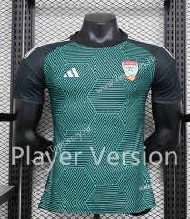 Player Version 2024-2025 United Arab Emirates Away Green Thailand Soccer Jersey AAA-888